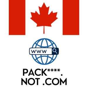 PACK 3 Domain Name with Monetized Website CA NOT COM